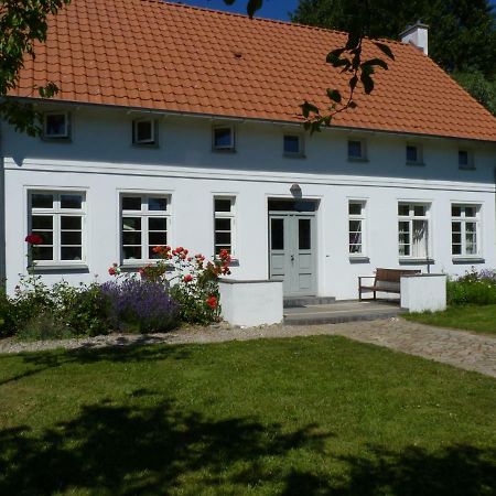 Traumhaftes Luxus-Ferienhaus Warnkenhagen  외부 사진